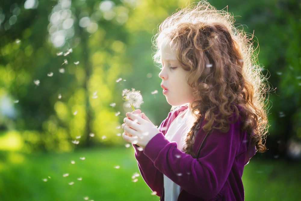 child blowing out dandelion.